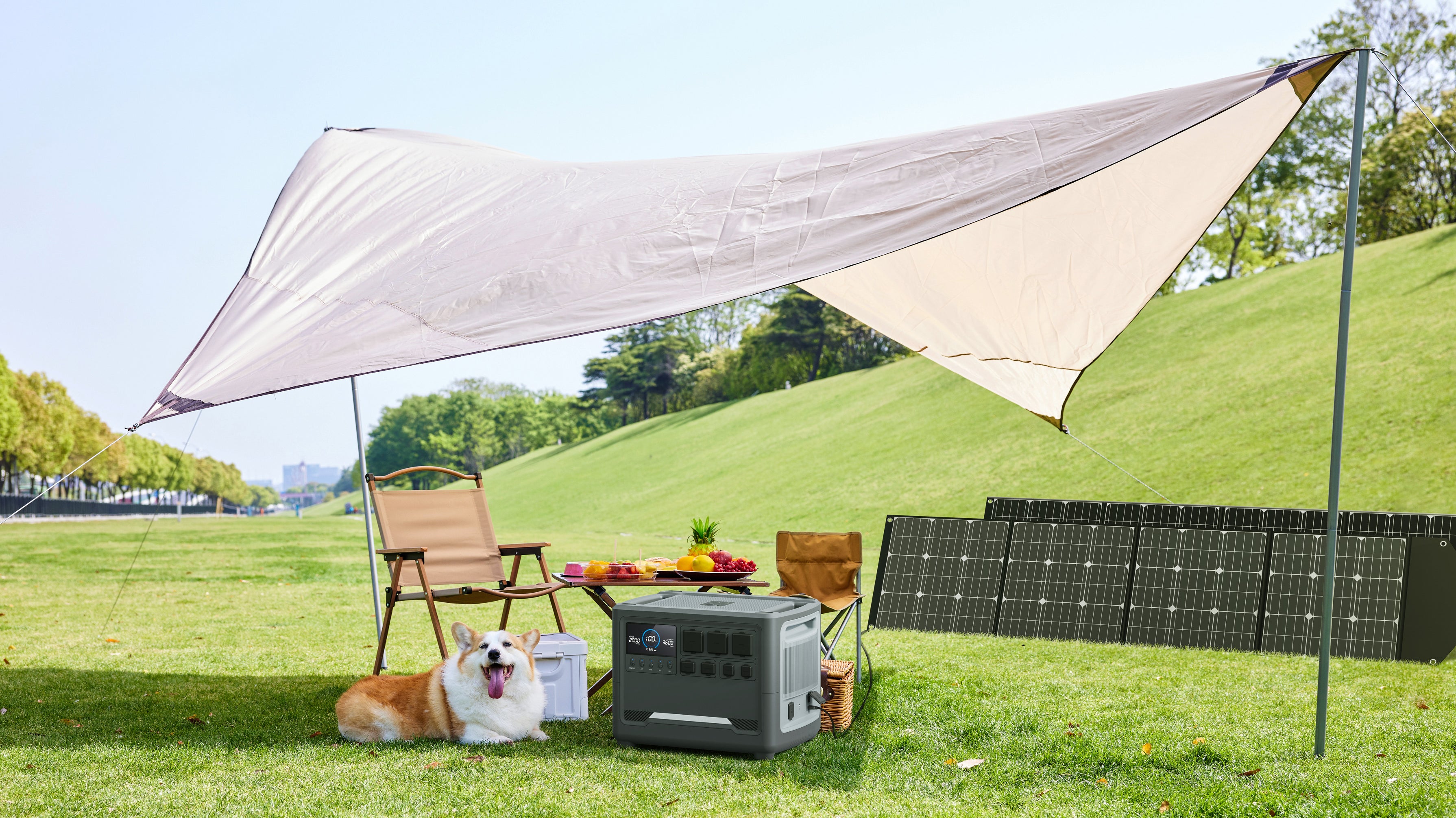 How Do Solar Panels Power My Home?