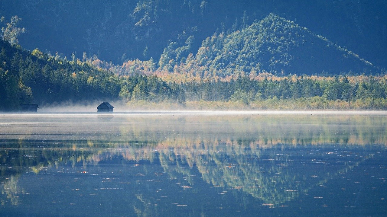 How to Build an Off-Grid Cabin: A Guide to Sustainable Natural Living