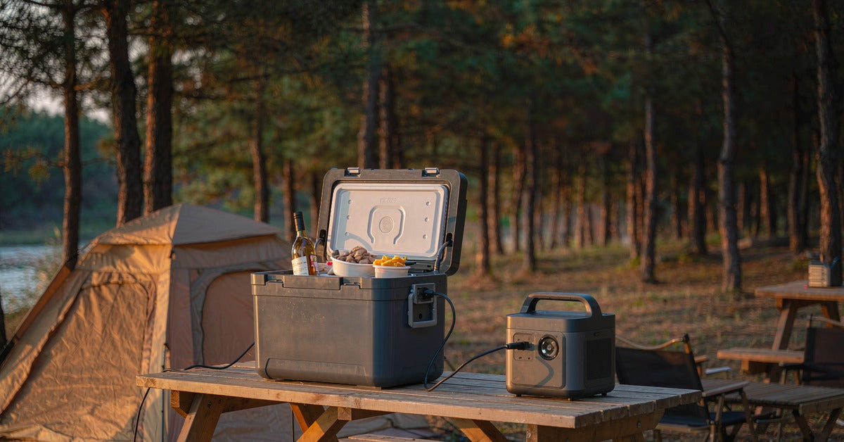 Best Portable Power Station for a Camping Fridge (2026 Guide)