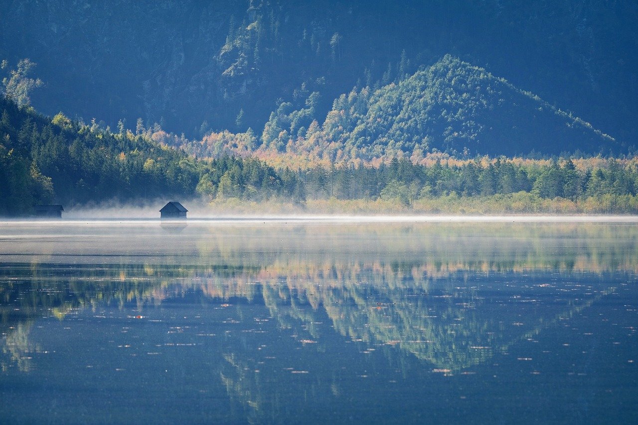 How to Build an Off-Grid Cabin: A Guide to Sustainable Natural Living